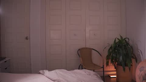 carolart online show from 02.03.26