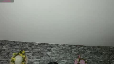 Camelia online show from 11.04.25