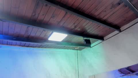 Carolina online show from 02.01.26