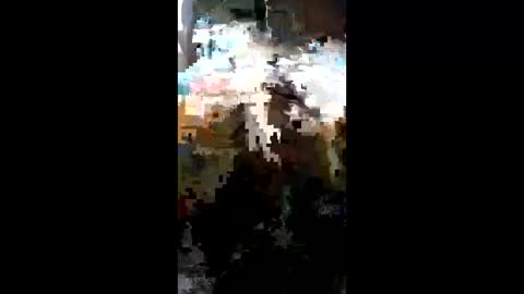 carrilloeverardo219 online show from 03.23.26