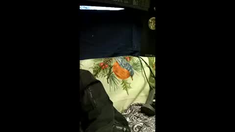 carrilloeverardo219 online show from 03.28.26