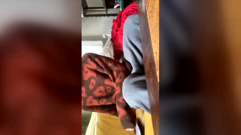 carrrigggg online show from 03.03.26