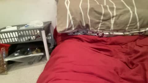 casanovacasaa online show from 02.20.25