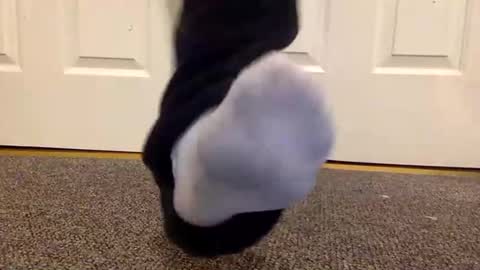 cash13bychanel online show from 01.26.25