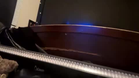 Snapshot of casidy1 chatting on 01.08.25 casidy1 online show from 01.08.25