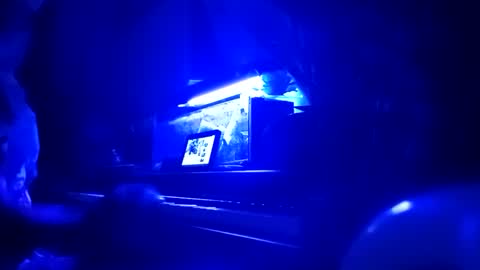 cassandra1369 online show from 09.25.25