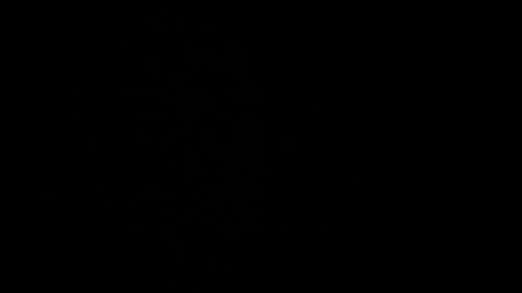 Snapshot of cata_n_cami chatting on 12.21.24 cata_n_cami online show from 12.21.24