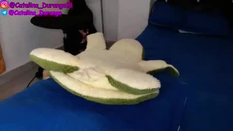 Catalina Durango  online show from 11.22.25