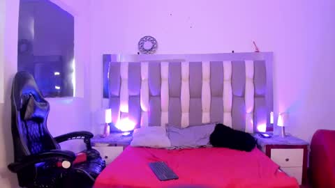 Cat  online show from 12.06.24