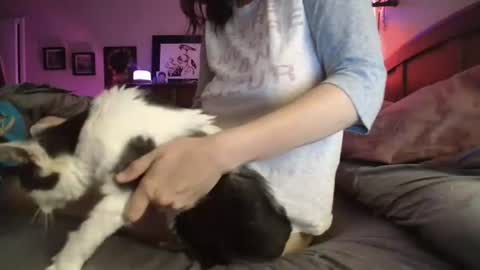 some call me djcatnips some call me CC but i love it when you call me miss catnips  online show from 07.10.26