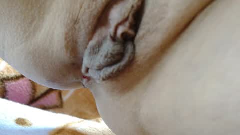 Snapshot of cbz112233 chatting on 03.04.26 ANNYANNY online show from 03.04.26