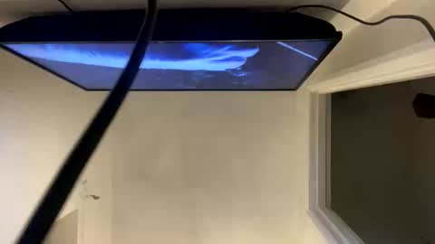 ccsexycam online show from 04.10.26