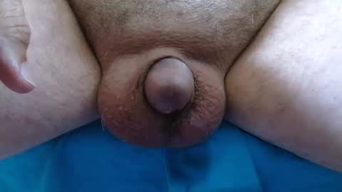 cefalu online show from 10.28.25