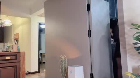 celestisse1 online show from 04.21.26