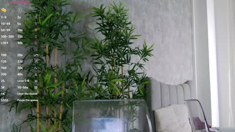 CelineMeyer online show from 01.31.25