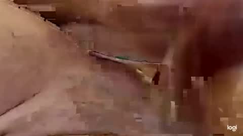 Snapshot of cfnmkinky28 chatting on 01.01.25 cfnmkinky28 online show from 01.01.25