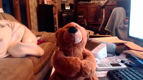 chacoa online show from 02.16.26