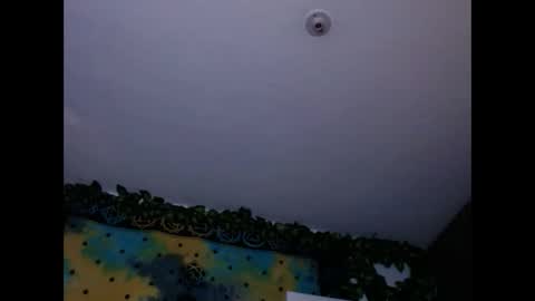 Chanel M. online show from 12.26.24