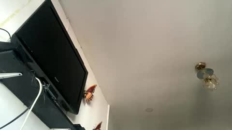 chanelfancy online show from 04.26.26