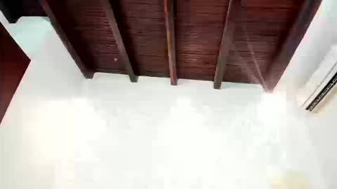 Charlot  online show from 03.11.26