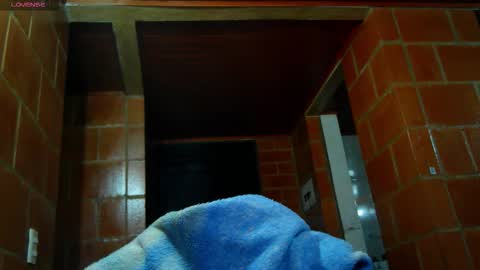 Snapshot of charlotte_allen_ chatting on 11.07.25 Charlotte online show from 11.07.25