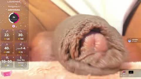 Char online show from 02.25.25