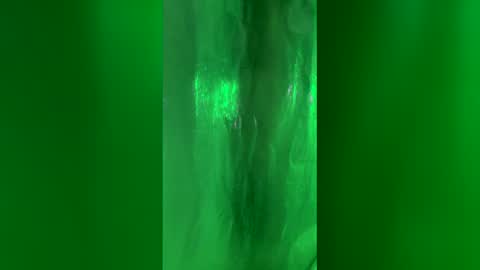 Chase2Attract online show from 03.24.26