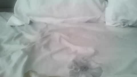 chatusandy26 online show from 02.14.26