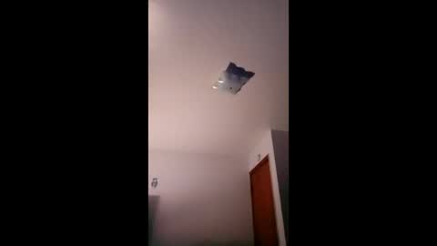 cheeze111 online show from 04.29.26