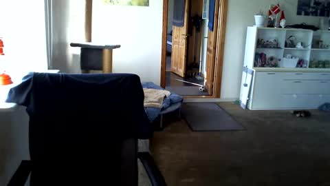 chefben666 online show from 03.31.26