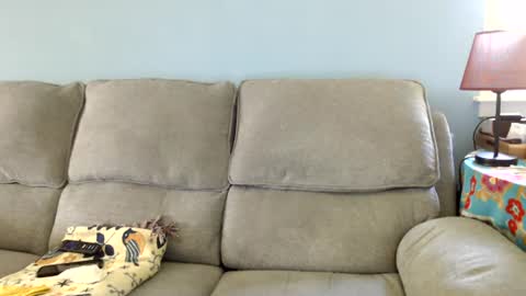 Snapshot of chelseasentra1 chatting on 07.02.26 Chelsea online show from 07.02.26