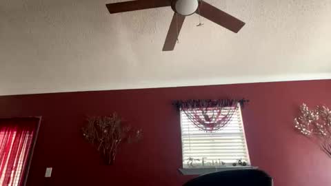 CHINO online show from 02.17.26