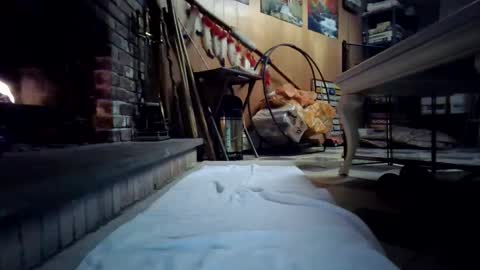 chippy70 online show from 01.18.26