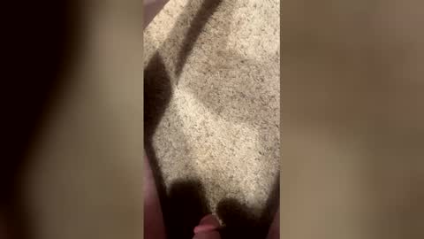 chitownlando online show from 06.09.26