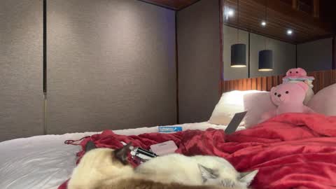 Snapshot of christinasage chatting on 09.18.25 Christina Sage online show from 09.18.25