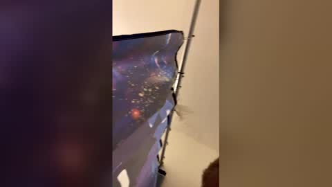 Mommy milf online show from 04.06.26