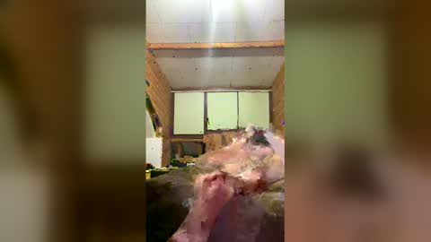 chzljqzbysno online show from 01.14.26