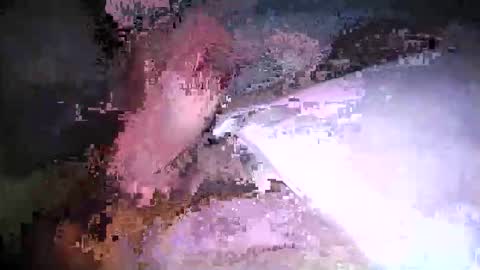 cicuta15 online show from 03.17.26