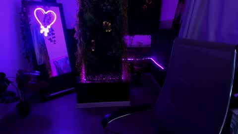 Cin Bellamy online show from 02.21.26