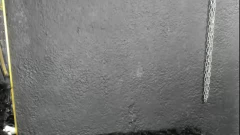 Snapshot of cintyarose chatting on 02.26.26 cintyarose online show from 02.26.26