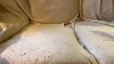 Snapshot of circlejerkslutt chatting on 12.17.24 join the circle online show from 12.17.24