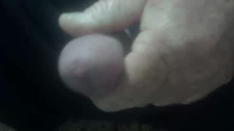 cocktoys online show from 02.01.26