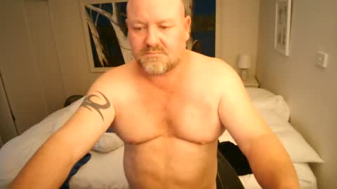 cocktoys online show from 07.15.26