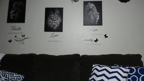 CocosCreamy online show from 02.05.26