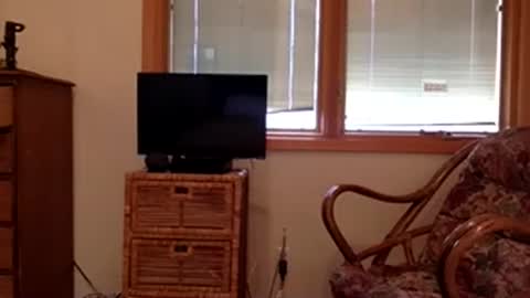 Snapshot of codebynova chatting on 11.08.25 Code By Nova online show from 11.08.25