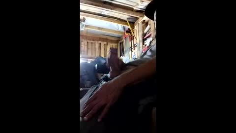 lickerpro69 online show from 05.05.26