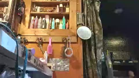 cody14213827 online show from 06.01.26