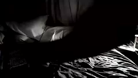 Snapshot of cojax1414 chatting on 09.25.25 Mr. Fun Time online show from 09.25.25