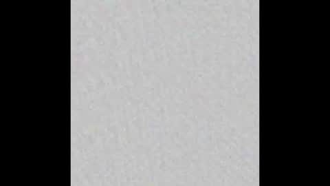 colgategrate online show from 02.28.26