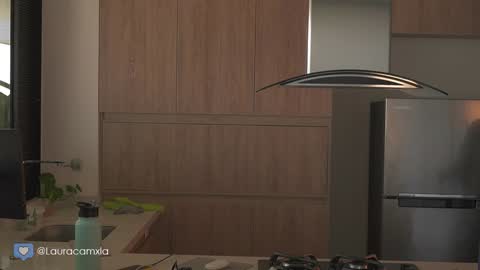 Snapshot of colouristic chatting on 01.16.25 Laura online show from 01.16.25